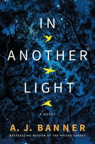 Cover of In Another Light