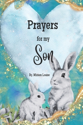 Book cover for Prayers for my Son