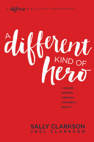 Cover of Different Kind Of Hero, A