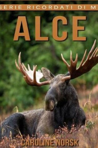 Cover of Alce