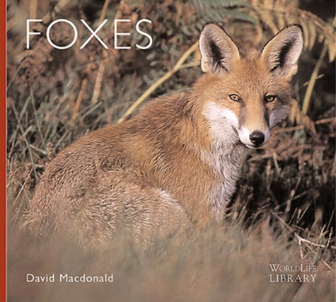 Book cover for Foxes