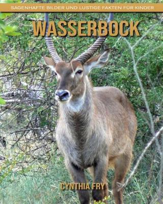 Book cover for Wasserbock