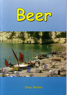 Book cover for Beer