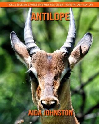 Book cover for Antilope