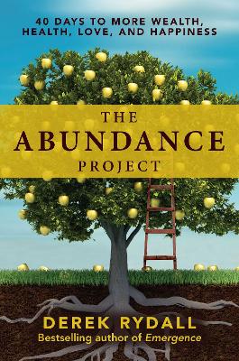 Book cover for The Abundance Project