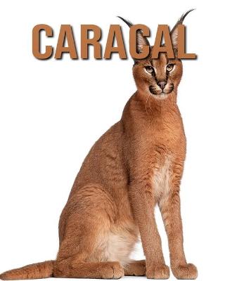 Book cover for Caracal