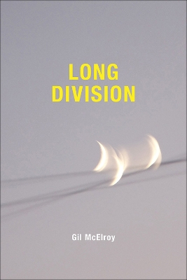 Book cover for Long Division