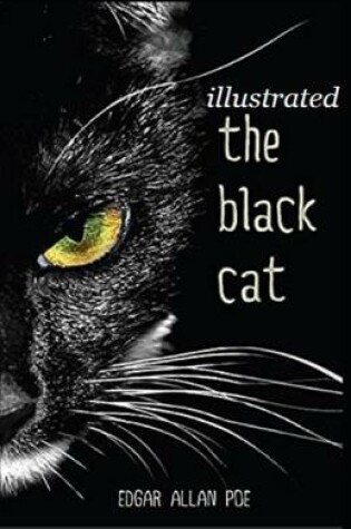 Cover of The Black Cat Illustrated