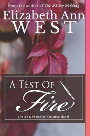 Cover of A Test of Fire