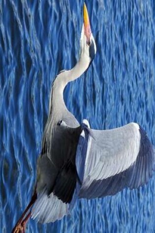 Cover of Grey Heron Flying Over Water, Birds of the World