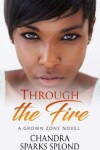 Book cover for Through the Fire