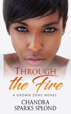 Book cover for Through the Fire