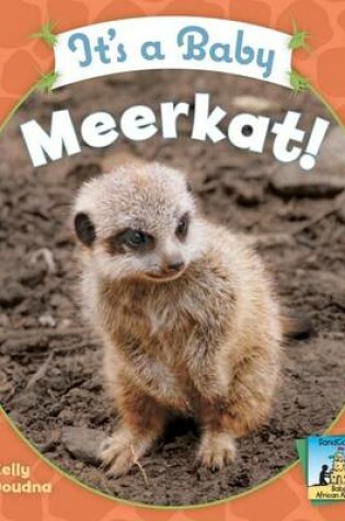 Cover of It's a Baby Meerkat!