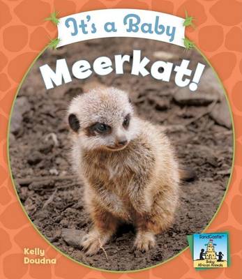 Book cover for It's a Baby Meerkat!