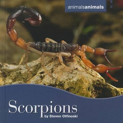 Book cover for Scorpions