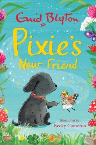 Cover of Pixie's New Friend