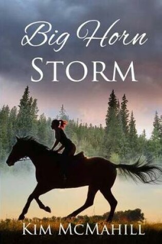 Cover of Big Horn Storm