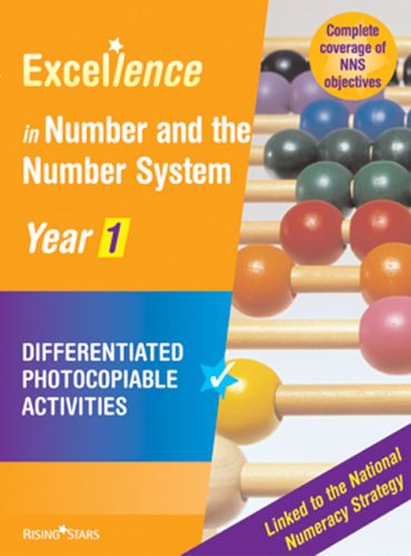 Book cover for Excellence Number and the Number System