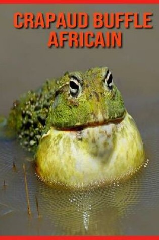 Cover of Crapaud Buffle Africain