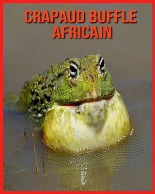 Book cover for Crapaud Buffle Africain