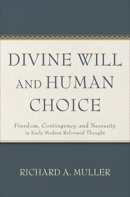 Book cover for Divine Will and Human Choice