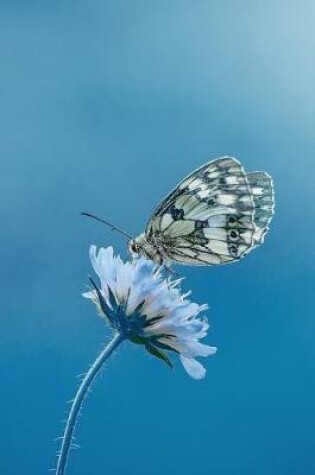 Cover of A Butterfly, a Flower, and a Blue Summer Sky Journal