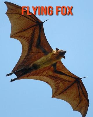 Book cover for Flying Fox