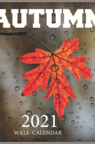 Cover of Autumn