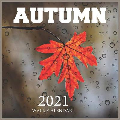 Book cover for Autumn