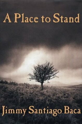 Cover of A Place to Stand