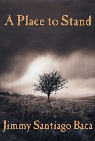 Book cover for A Place to Stand