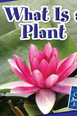 Cover of What Is a Plant