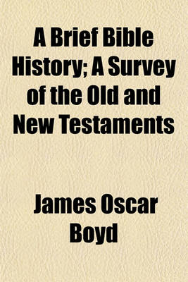 Book cover for A Brief Bible History; A Survey of the Old and New Testaments