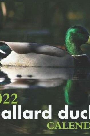 Cover of Mallard ducks Calendar 2022