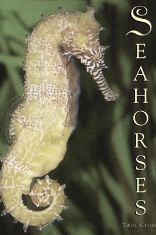 Cover of Seahorses
