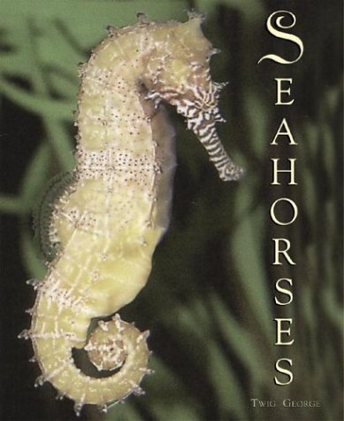 Book cover for Seahorses