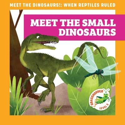 Book cover for Meet the Small Dinosaurs