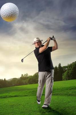 Book cover for Perfect Shot on the Golf Fairway