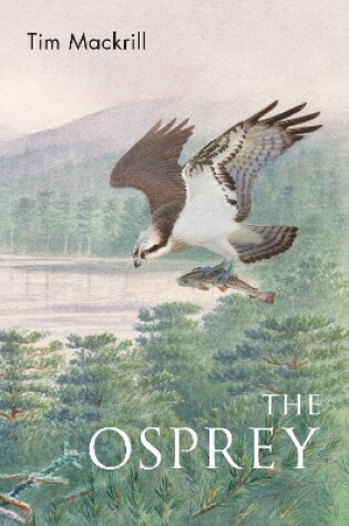 Cover of The Osprey