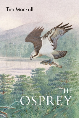 Book cover for The Osprey