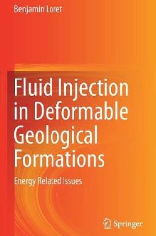 Cover of Fluid Injection in Deformable Geological Formations