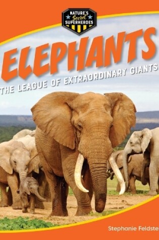 Cover of Elephants