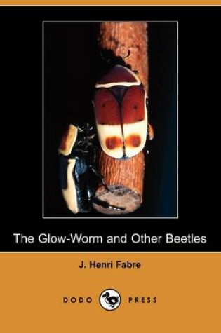Cover of The Glow-Worm and Other Beetles (Dodo Press)
