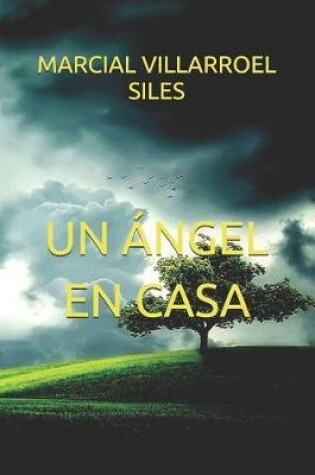 Cover of Un  ngel En Casa
