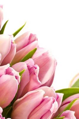 Book cover for A Brilliant Pink Tulip Flower Arrangement