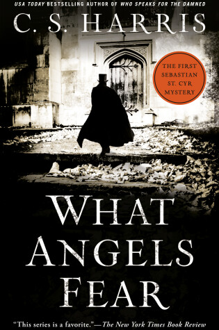Cover of What Angels Fear