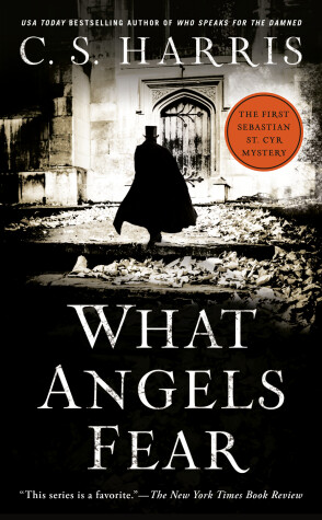 Book cover for What Angels Fear