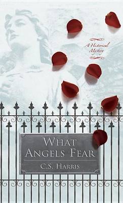 Book cover for What Angels Fear