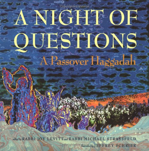 Cover of A Night of Questions