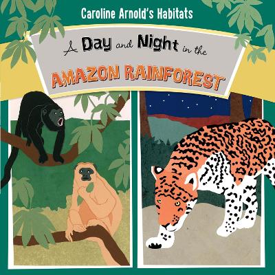 Book cover for A Day and Night in the Amazon Rainforest